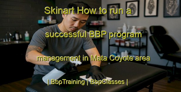 Skinart How to run a successful BBP program management in Mata Coyote area | BbpTraining | BbpClasses | SkinartTraining-Mexico